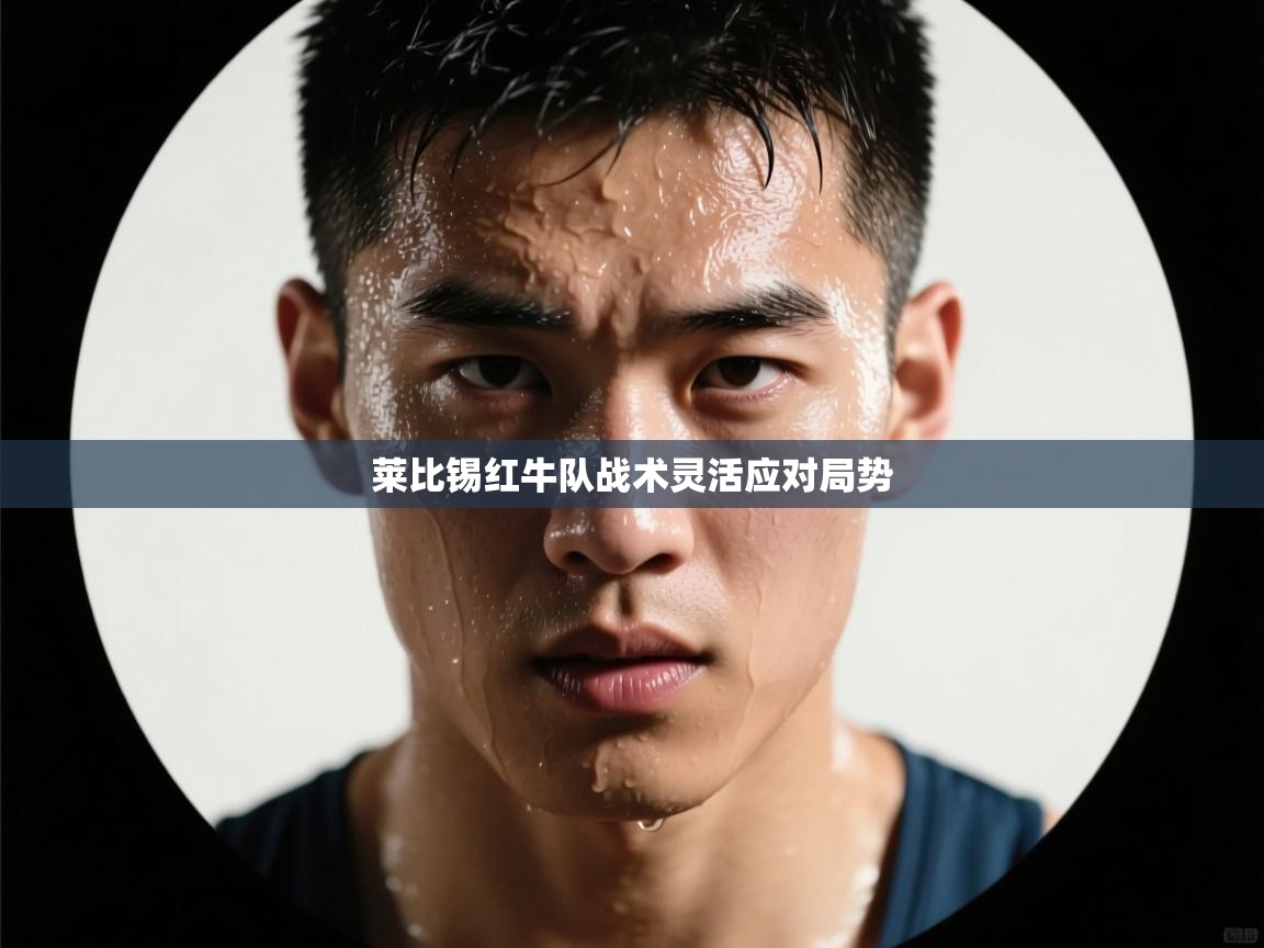 开云·体育kaiyun官方网站_kaiyun sports-莱比锡红牛队战术灵活应对局势  第3张