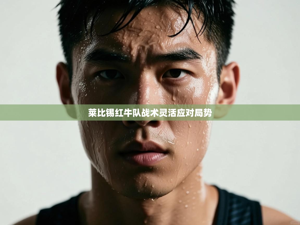 开云·体育kaiyun官方网站_kaiyun sports-莱比锡红牛队战术灵活应对局势  第2张