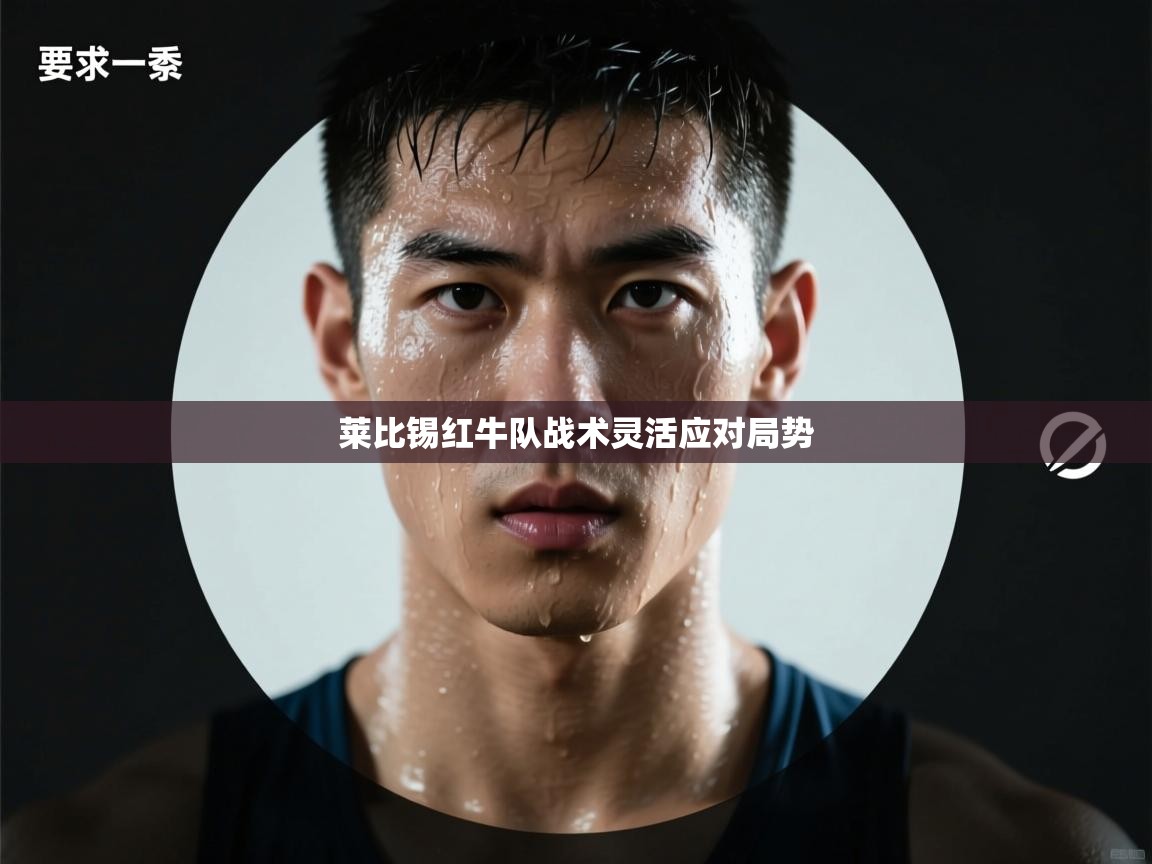 开云·体育kaiyun官方网站_kaiyun sports-莱比锡红牛队战术灵活应对局势  第4张