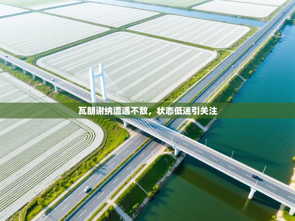 云开体育官网-瓦朗谢纳遭遇不敌,状态低迷引关注  第2张