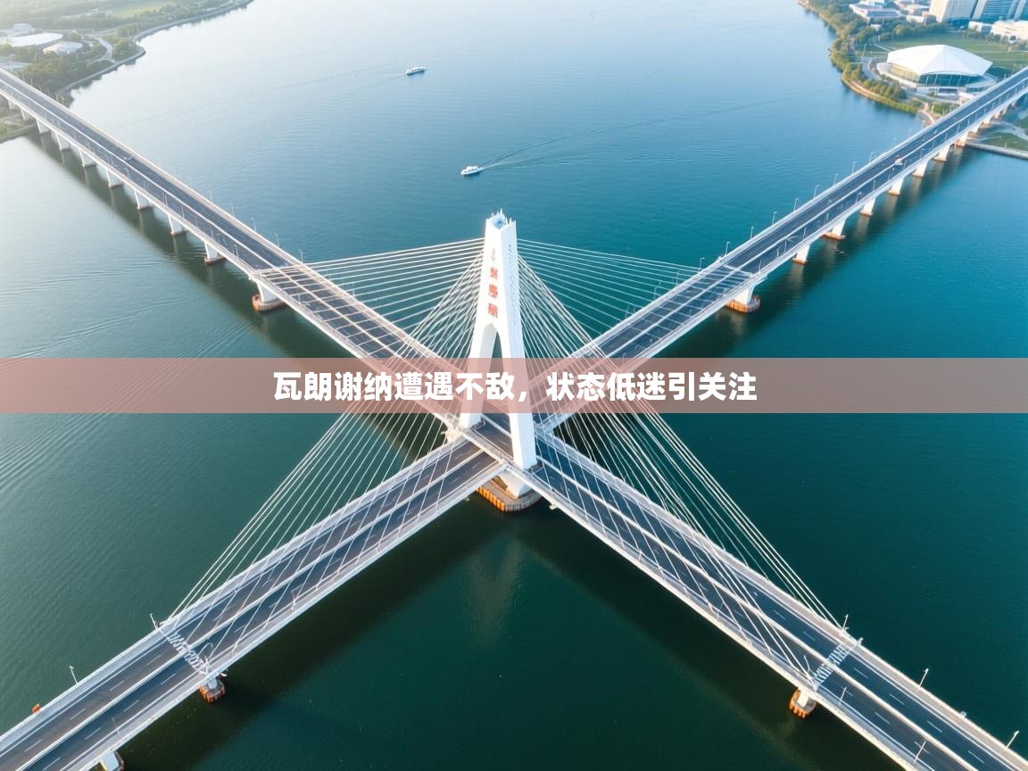 云开体育官网-瓦朗谢纳遭遇不敌,状态低迷引关注  第3张