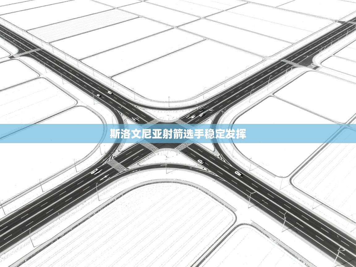 开云体育夜间模式开启-斯洛文尼亚射箭选手稳定发挥  第2张