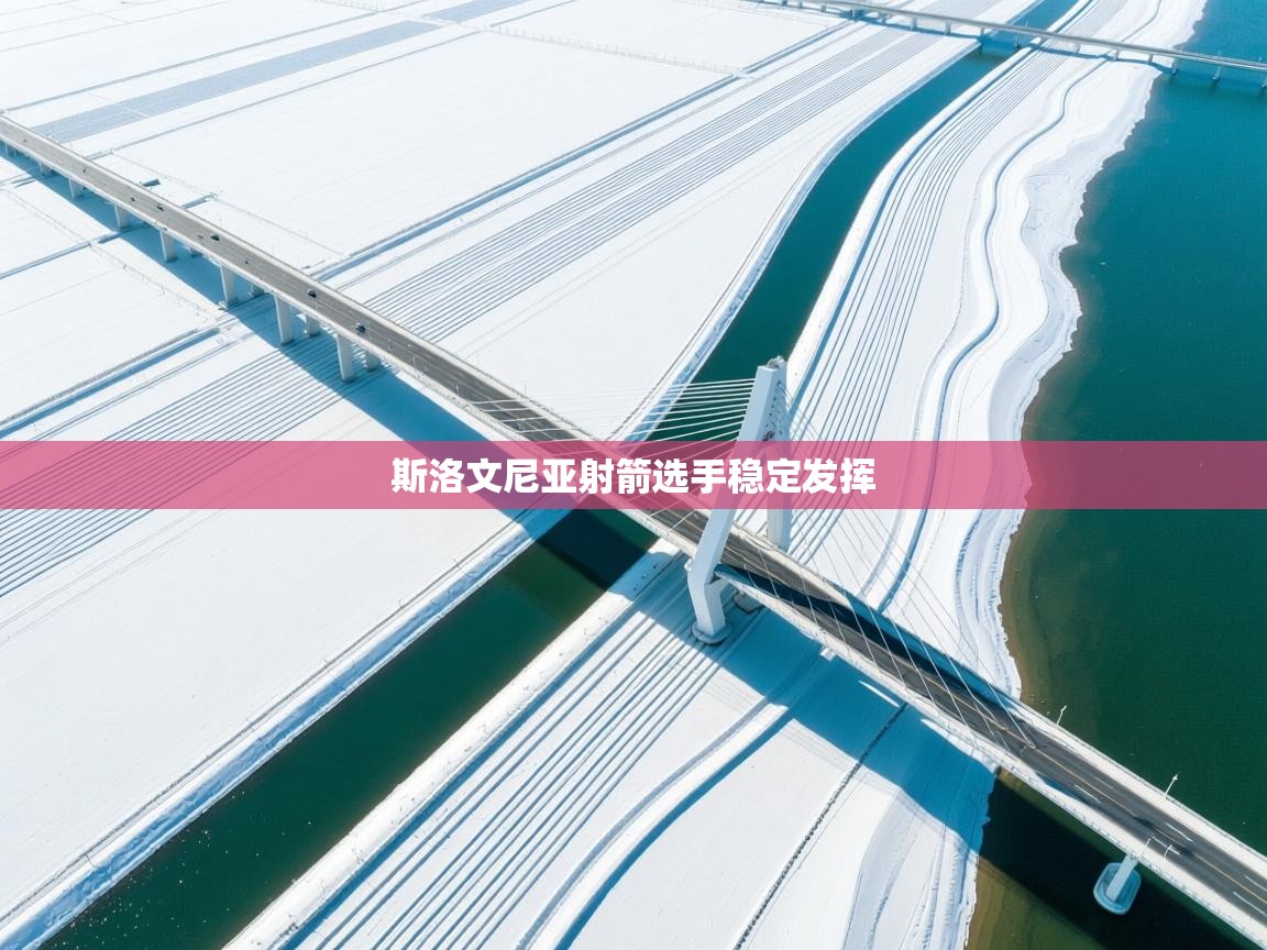 开云体育夜间模式开启-斯洛文尼亚射箭选手稳定发挥  第3张