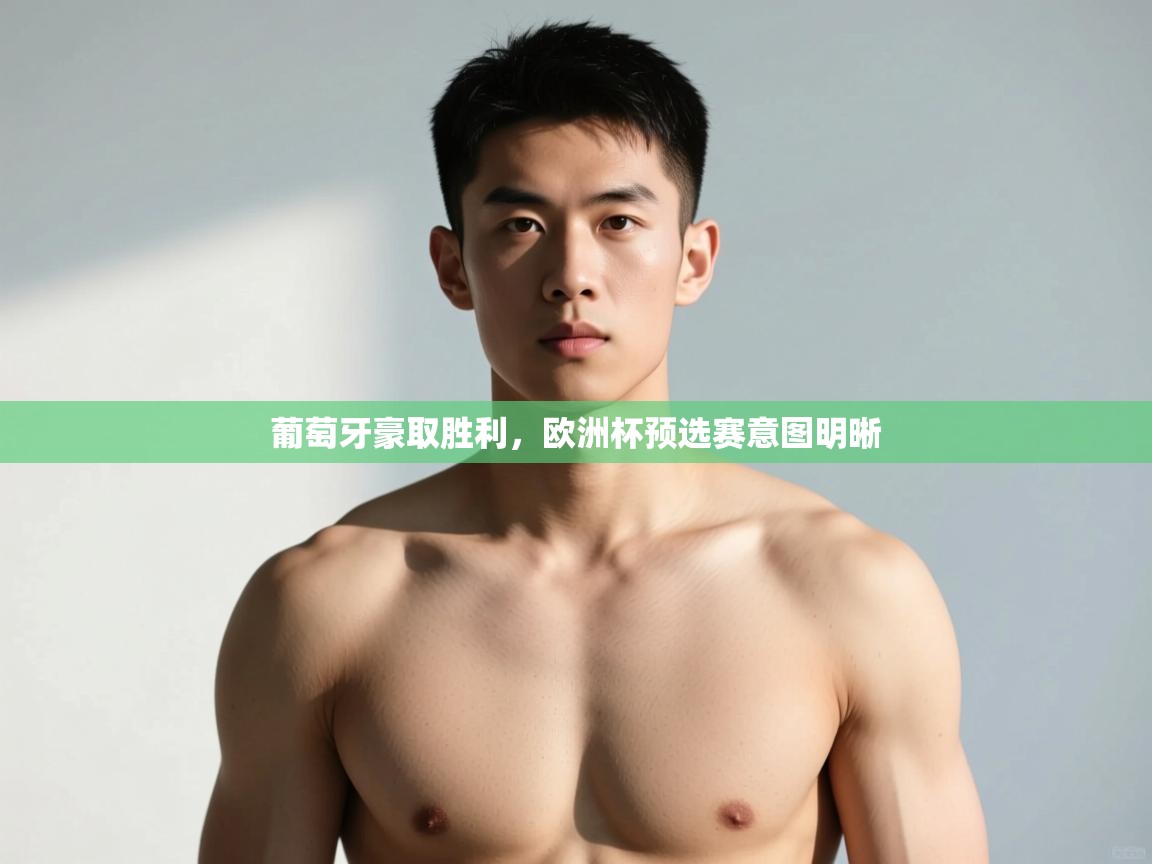 开云体育app在线-葡萄牙豪取胜利,欧洲杯预选赛意图明晰 第2张