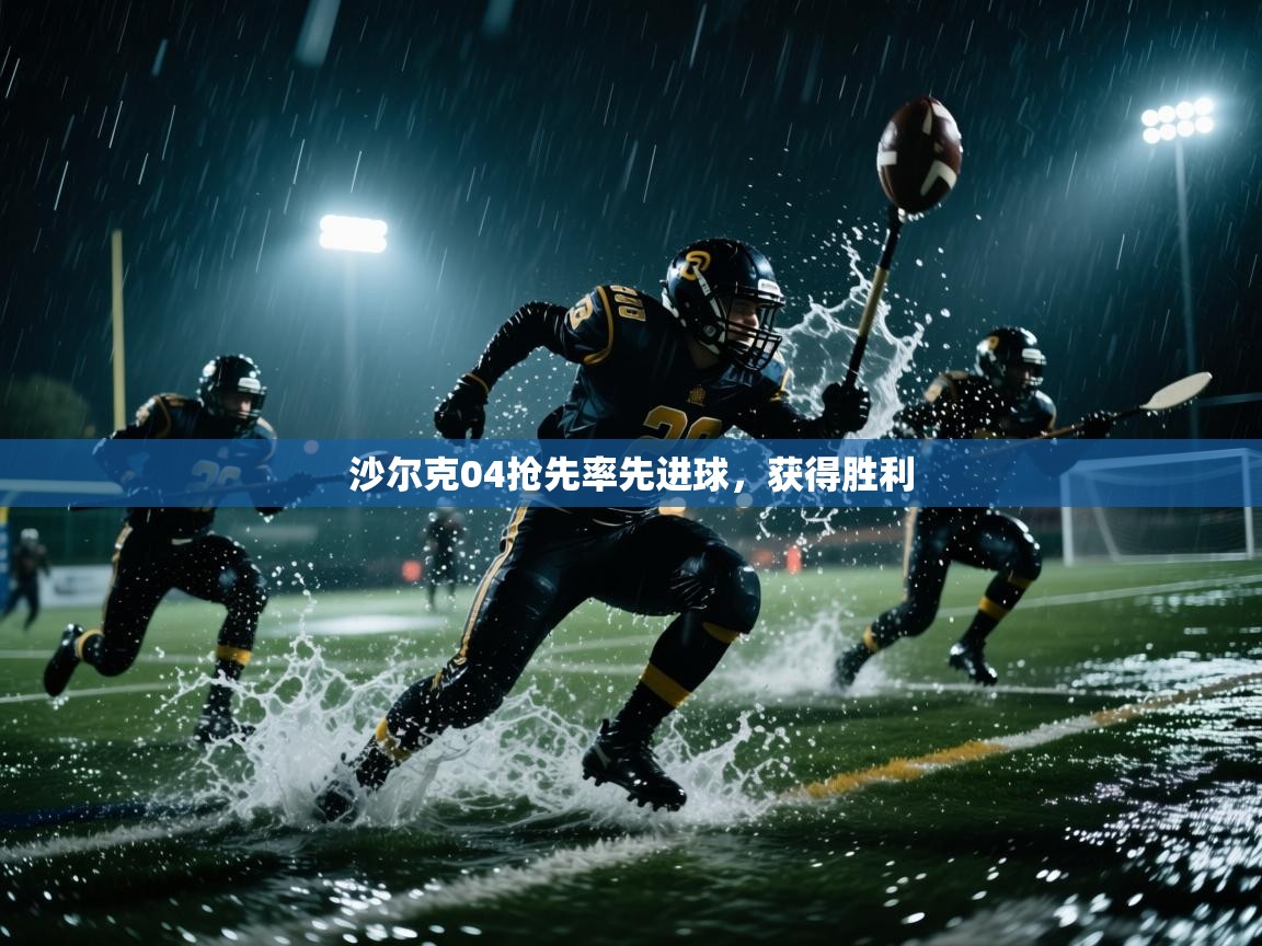 开云体育PC版网页版登录-沙尔克04抢先率先进球,获得胜利 第1张