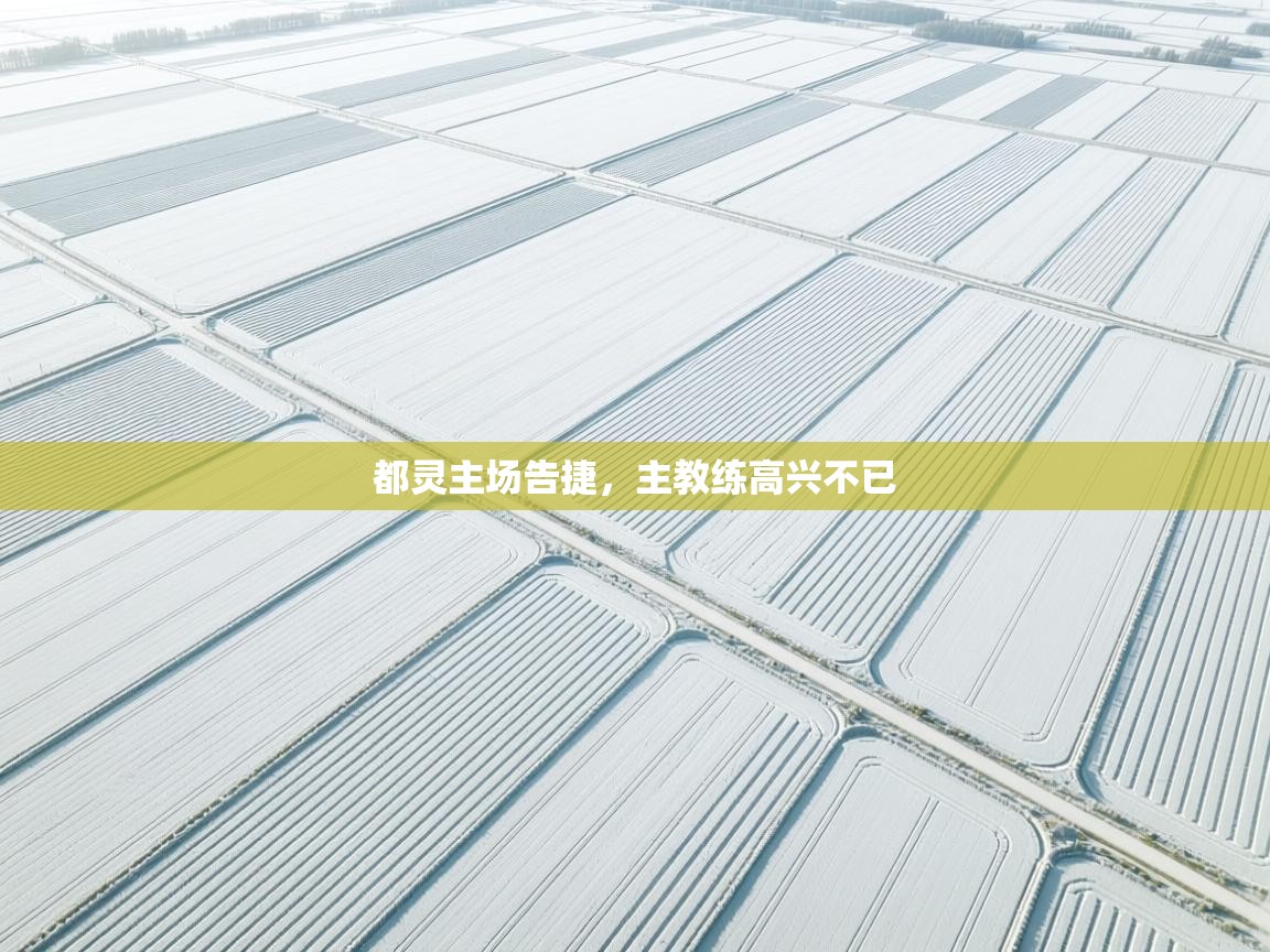 开云体育入口手机版-都灵主场告捷，主教练高兴不已