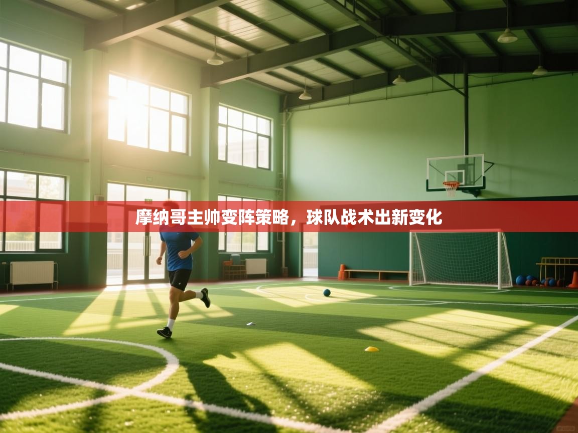 开云体育app下载入口-摩纳哥主帅变阵策略，球队战术出新变化