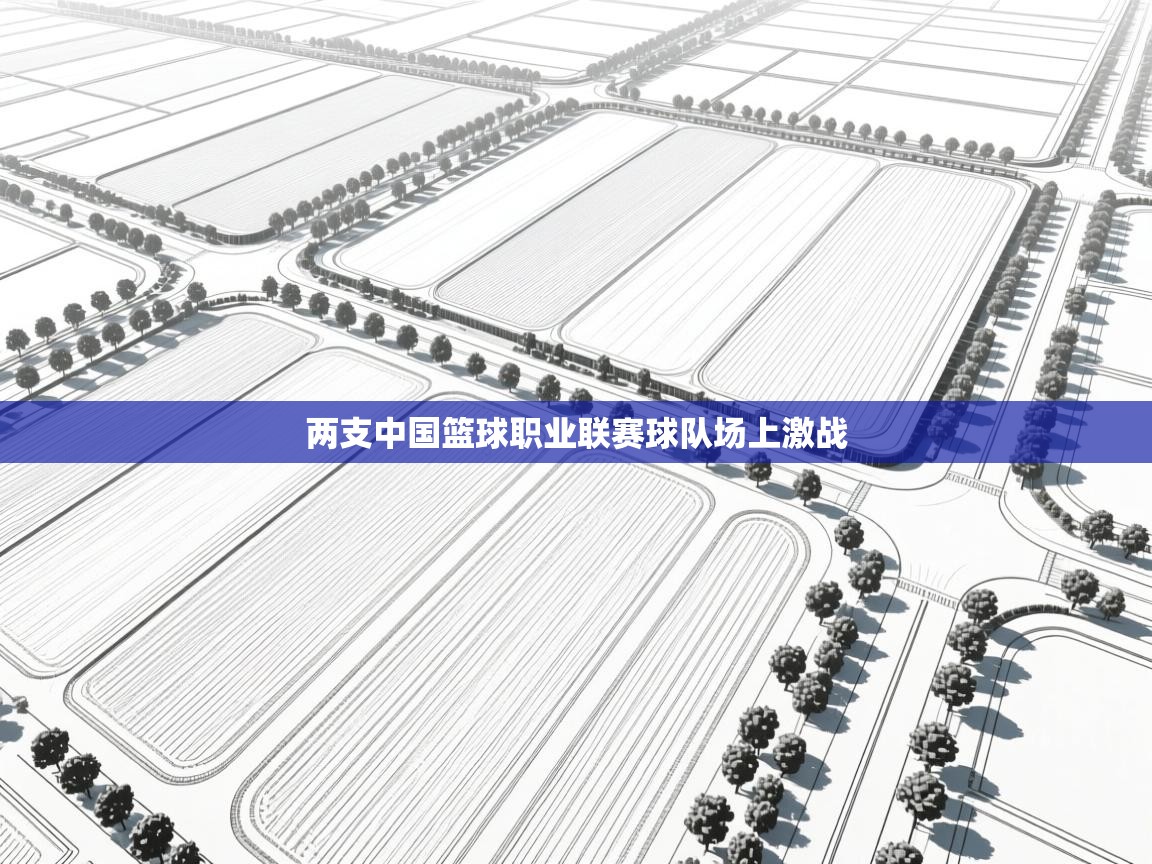 开云体育在线下载-两支中国篮球职业联赛球队场上激战