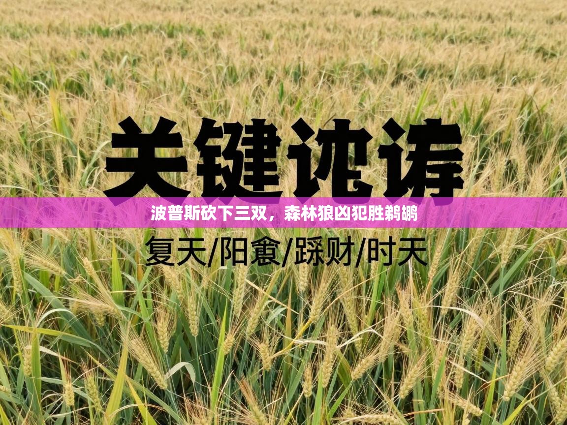 开云体育入口手机版-波普斯砍下三双，森林狼凶犯胜鹈鹕  第3张